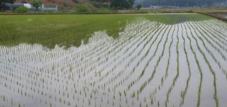 이흥옥님의 자유주제 · 자유게시판 작성글 사진