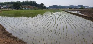 이흥옥님의 자유주제 · 자유게시판 작성글 사진