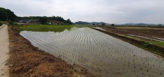 이흥옥님의 자유주제 · 자유게시판 작성글 사진