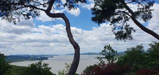 이흥옥님의 자유주제 · 자유게시판 작성글 사진