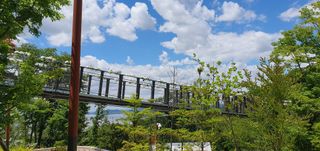 이흥옥님의 자유주제 · 자유게시판 작성글 사진