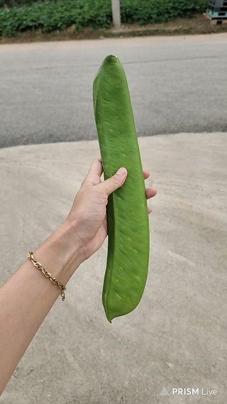 눈나쁜설치류님의 팜모닝 · 출석 작성글 사진