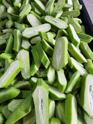 눈나쁜설치류님의 팜모닝 · 출석 작성글 사진