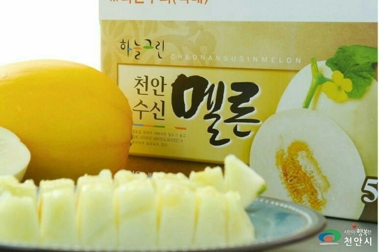 장터 상품 [천안 수신 멜론 ] 썸네일