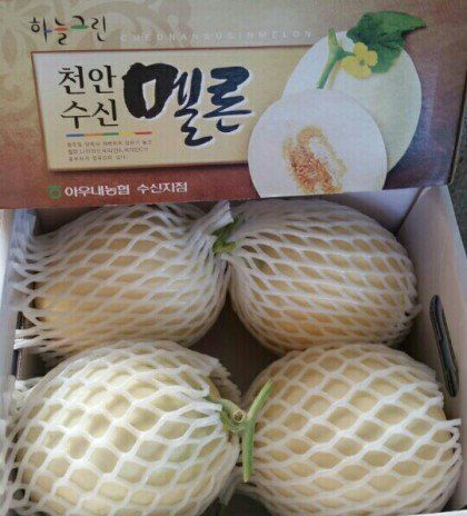 홍선표(지현네멜론)님의 장터 판매 상품 [천안 수신 멜론 ] 첨부 사진
