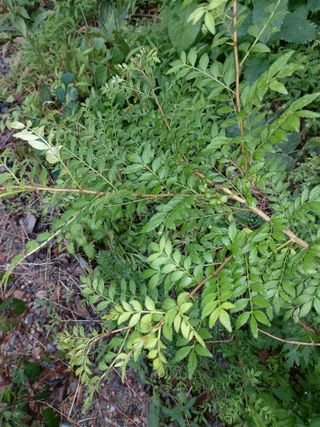 이상돈님의 기타작물 · 영농일지 작성글 사진