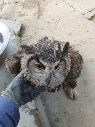 김미정님의 자유주제 · 자유게시판 작성글 사진