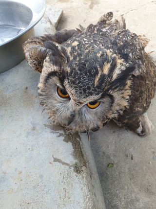 김미정님의 자유주제 · 자유게시판 작성글 사진