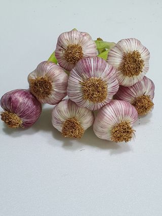 해풍님의 작성글 사진