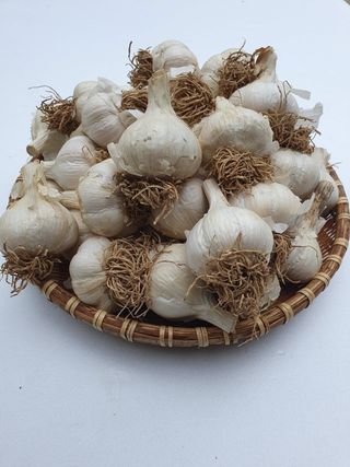 해풍님의 작성글 사진