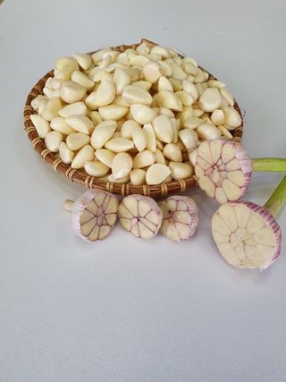 해풍님의 작성글 사진