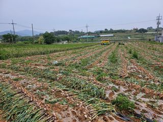 해풍님의 작성글 사진