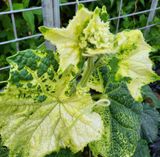 팜모닝 자유주제·자유게시판 게시글 이미지