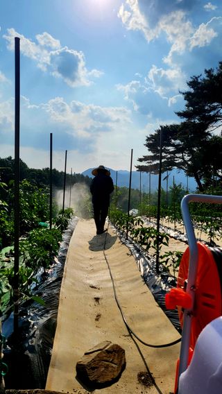 대운이네농원님의 자유주제 · 자유게시판 작성글 사진