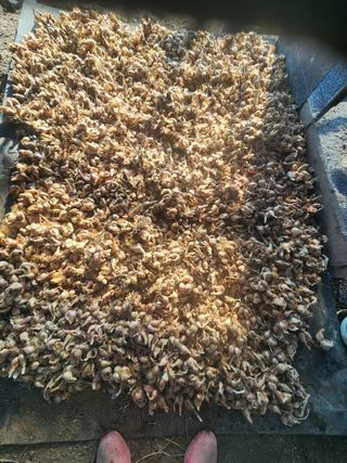 갑돌이님의 자유주제 · 자유게시판 작성글 사진