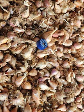 갑돌이님의 자유주제 · 자유게시판 작성글 사진