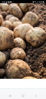 팜모닝 6월 농사계획🧑🏻‍🌾·참여글 게시글 이미지