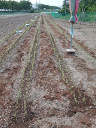 이재경님의 6월 농사계획🧑🏻‍🌾 · 참여글 작성글 사진