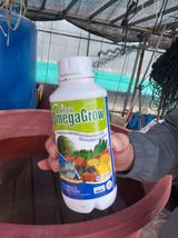 팜모닝 고추·영농일지 게시글 이미지