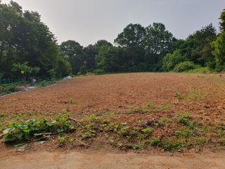 우람님의 자유주제 · 자유게시판 작성글 사진