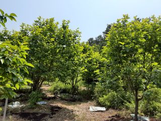 유비농원님의 6월 농사계획🧑🏻‍🌾 · 참여글 작성글 사진