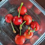 팜모닝 농사, 무엇이든 물어보세요!·참여글 게시글 이미지