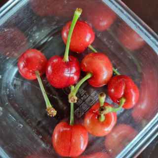 이홍균님의 농사, 무엇이든 물어보세요! · 참여글 작성글 사진