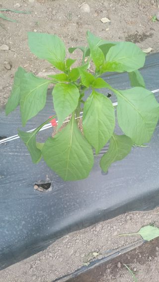 성정동님의 자유주제 · 자유게시판 작성글 사진