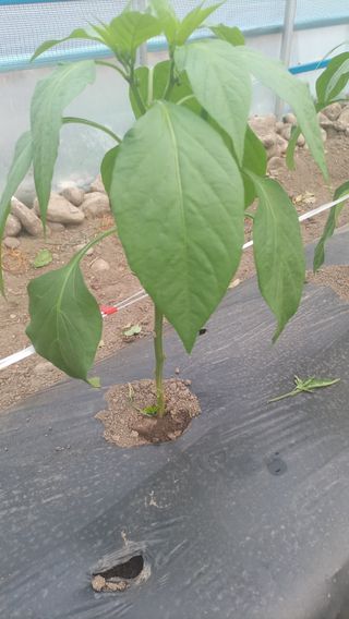 성정동님의 자유주제 · 자유게시판 작성글 사진