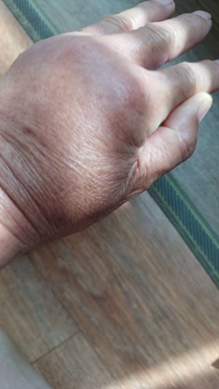 제주할아범님의 자유주제 · 자유게시판 작성글 사진