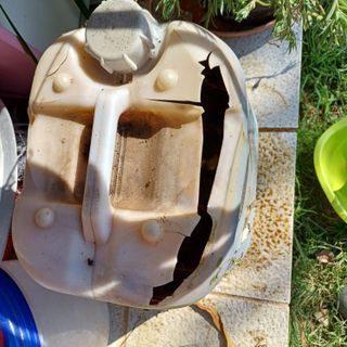 삼성농산님의 자유주제 · 자유게시판 작성글 사진