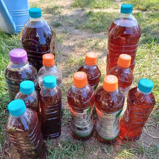 삼성농산님의 자유주제 · 자유게시판 작성글 사진