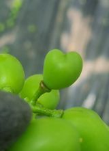 팜모닝 자유주제·자유게시판 게시글 이미지