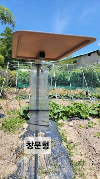 김중언님의 호박 · 영농일지 작성글 사진