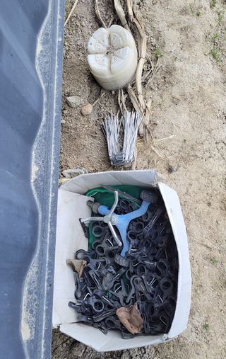 김중언님의 호박 · 영농일지 작성글 사진