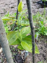 팜모닝 자유주제·자유게시판 게시글 이미지