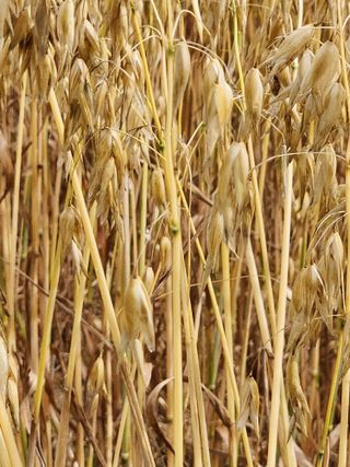 정재문님의 자유주제 · 자유게시판 작성글 사진