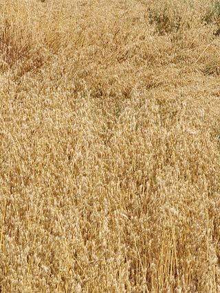 정재문님의 자유주제 · 자유게시판 작성글 사진