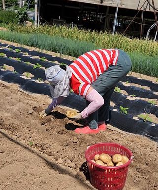 김시내 님의 감자 · 자유게시판 작성글 사진