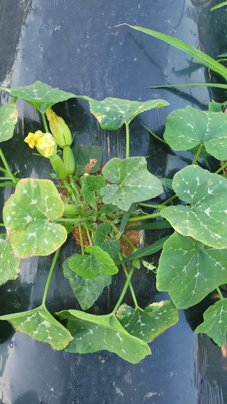 토마토21397님의 자유주제 · 자유게시판 작성글 사진