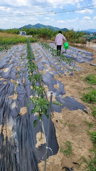 선영~~님의 자유주제 · 자유게시판 작성글 사진