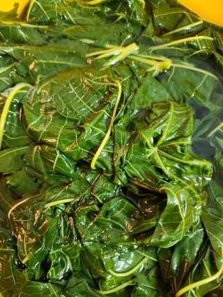 권지연.옥천.님의 작성글 사진