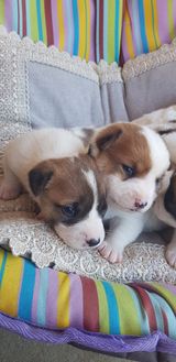 팜모닝 자유주제·사진전 게시글 이미지