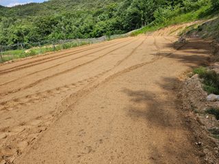 이건님의 콩 · 영농일지 작성글 사진