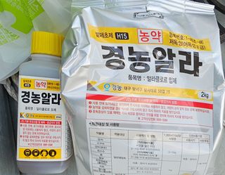 이건님의 콩 · 영농일지 작성글 사진