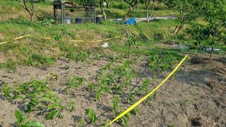 정재오님의 기타작물 · 영농일지 작성글 사진