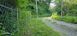 해오름달님의 자유주제 · 자유게시판 작성글 사진