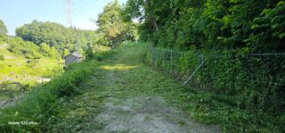 해오름달님의 자유주제 · 자유게시판 작성글 사진