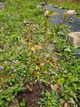 팜모닝 자유주제·자유게시판 게시글 이미지