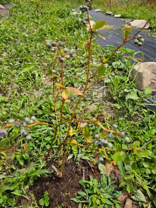 박소원님의 자유주제 · 자유게시판 작성글 사진